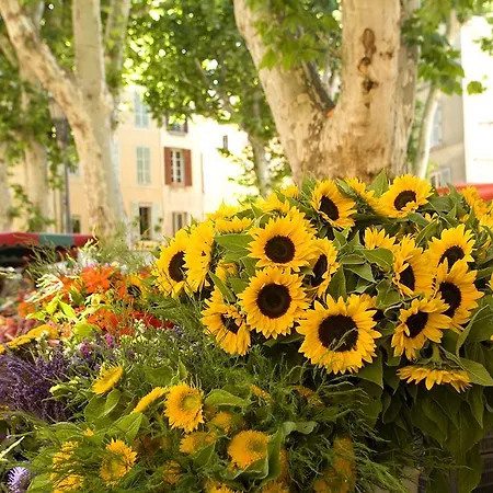 Les Jardins De Baracane 2*