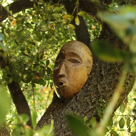 Les Jardins De Baracane Guest house